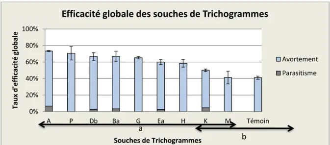 Fig.  1 :  Moyennes  des  taux  d’efficacité  globale  des  différentes  souches  de  Trichogrammes  testées en tubes, avec les erreurs standards (tous ratios confondus)