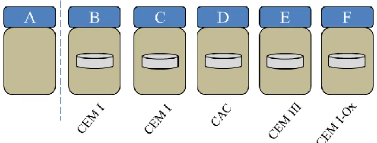 Figure 1 : Biowaste fermentation bioreactors  2.3  Observation of biofilm morphology 
