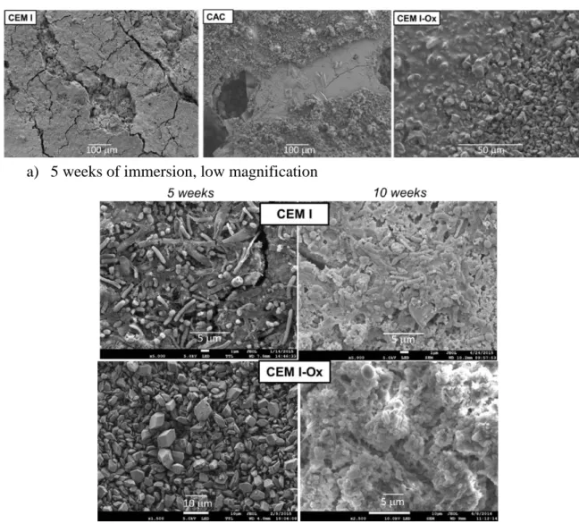 Figure 3: SEM observation of biofilms on cement paste after 5 weeks of immersion in the biowaste  Unlike those of untreated CEM I pastes, the surface of the CEM I-Ox coupon showed no  microbial colonization after 5 weeks of immersion in the biowaste; calci