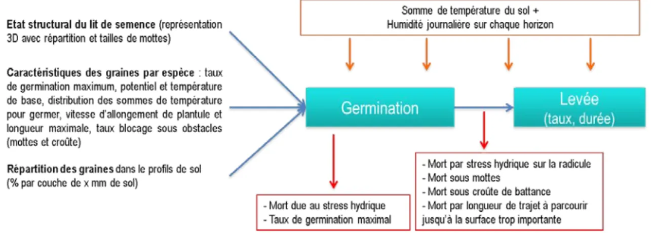 Figure 13. Représentation simplifiée du fonctionnement du modèle SIMPLE 