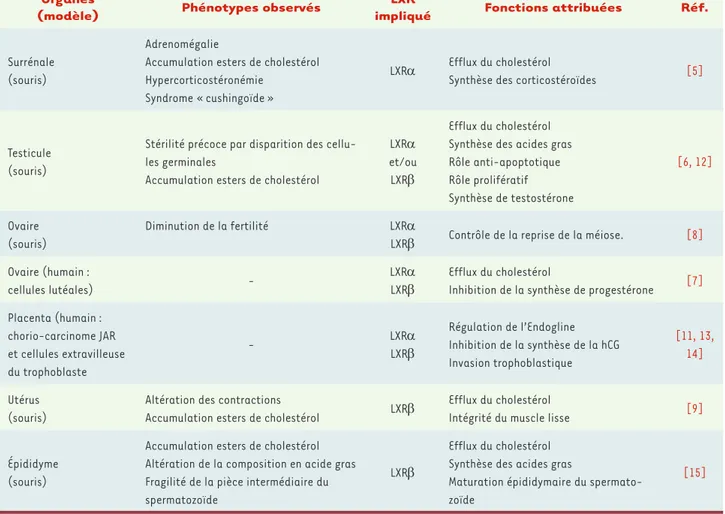 Tableau I. Fonctions physiologiques des différentes isoformes des LXR dans les organes stéroïdogènes ou cibles des stéroïdes.