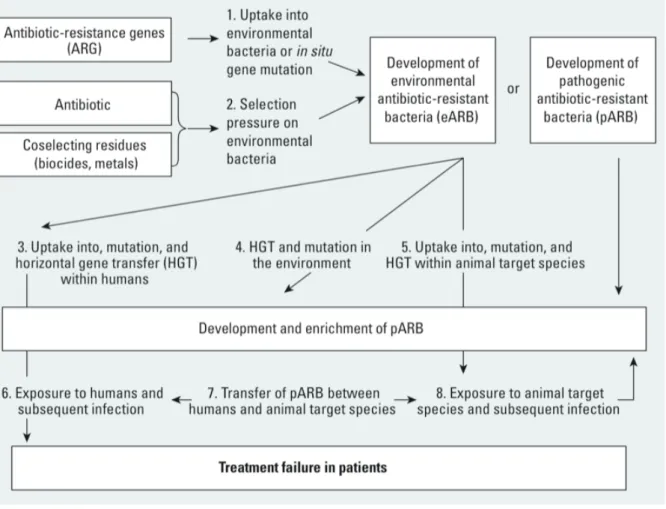 Figure 3 présente un exemple de modèle conceptuel pour une évaluation des risques sanitaires examinant  le rôle de l’environnement dans l’échec des traitements antibiotiques causé par des pathogènes  antibio-résistants (Ashbolt et al