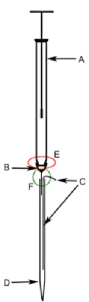 Figure 1: Schematic representation of the injectrode assembly.  A micro syringe (A) is  attached to the recording-injection pipette which consist of a 30G hypodermic needle (B)  adhered to a silver wire (C) inside a glass pipette (D)