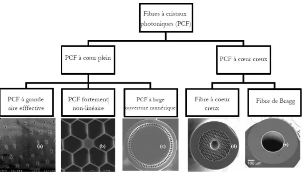 Fig. I.11 Classification des fibres à cristaux photoniques suivant le principe de guidage