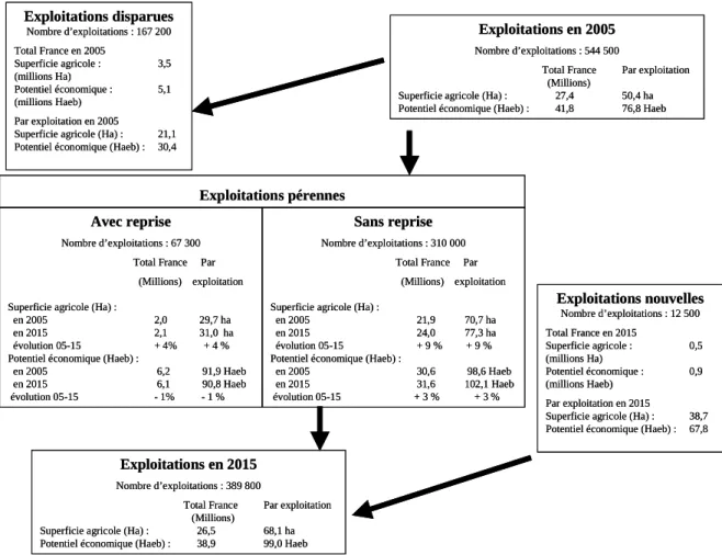 Graphique 1 : Évolution entre 2005 et 2015 (chaîne de Markov stationnaire)  Nombre d’exploitations, superficie et potentiel économique