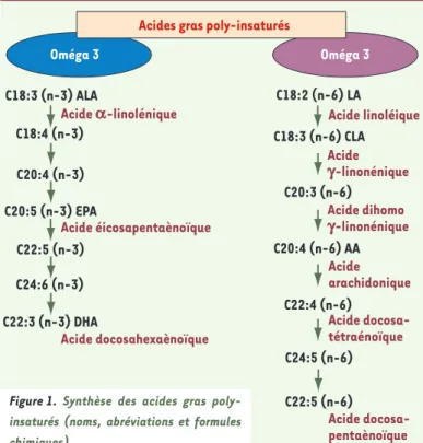 Figure 1.  Synthèse des acides gras poly- poly-insaturés (noms, abréviations et formules  chimiques).
