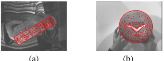 Figure 1. Mod `ele des motifs d’une face pour: (a) une boˆıte de riz, (b) un ballon