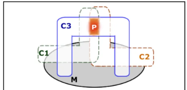 Fig. 4: Pathologic case