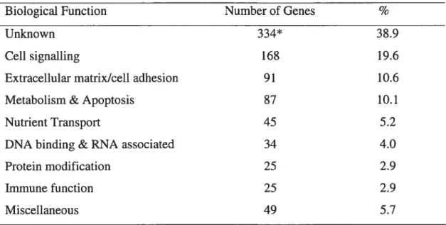 Table 2. Biological classification of 994 genes over expressed (2.5x) in e 12.0 pre Sertoli ceils.