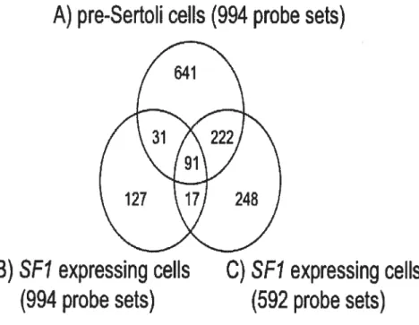 Figure 2. General comparison of transcriptome data generated from specific ceil populations of the male genital ridge