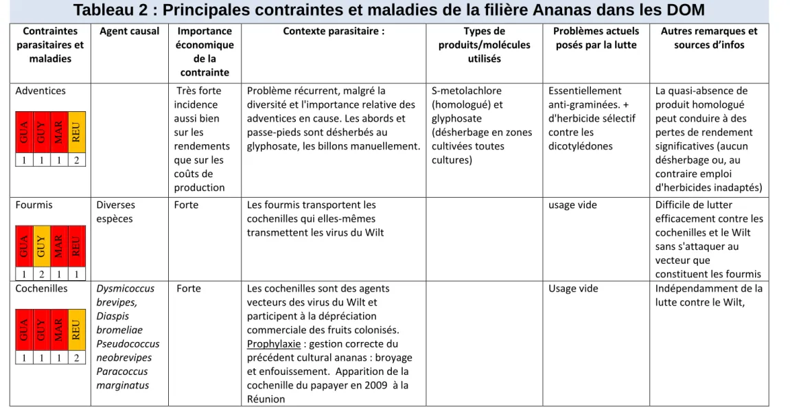 Tableau 2 : Principales contraintes et maladies de la filière Ananas dans les DOM 