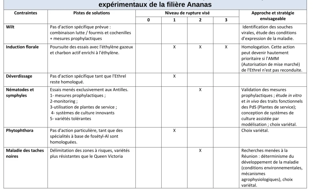Tableau 3 : Identification de quelques pistes d’actions pour de futurs dispositifs  expérimentaux de la filière Ananas 