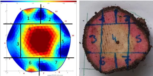 Figure 9 : Schéma représentant la  surface prise en compte par le  tomographe