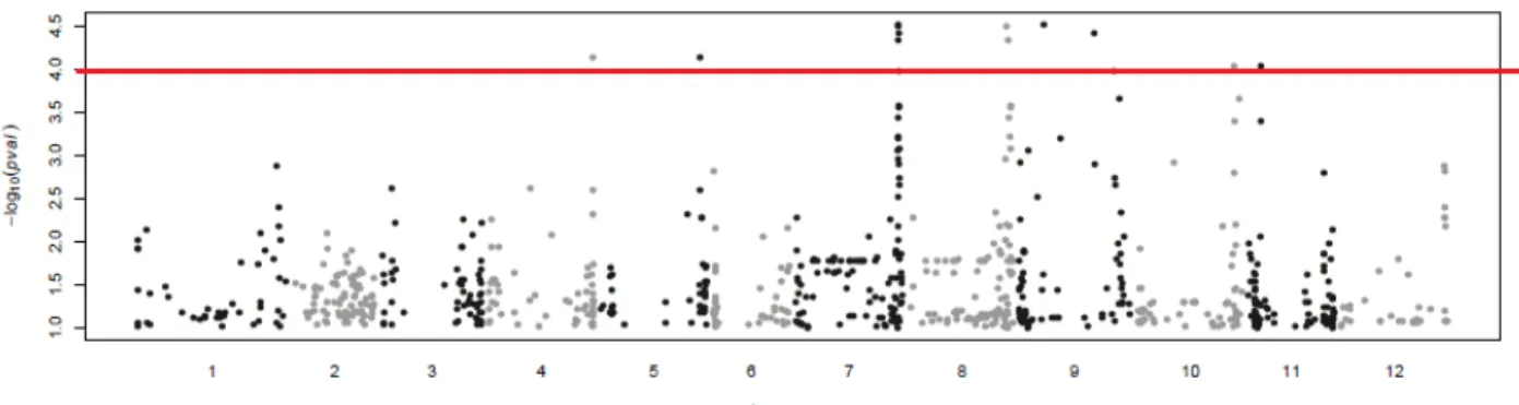 Figure 7. Manhattan Plot pour la concentration en glucose mesurée à Avignon  