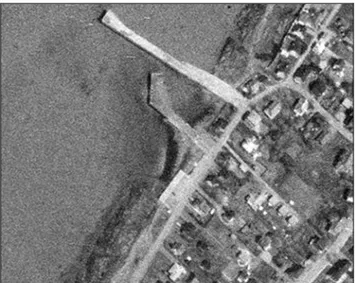 Figure 5. Vue aérienne du quai Miller (à gauche) et du quai Tâché (à droite)  Source : ANQ, Photos aériennes, othophotographie no