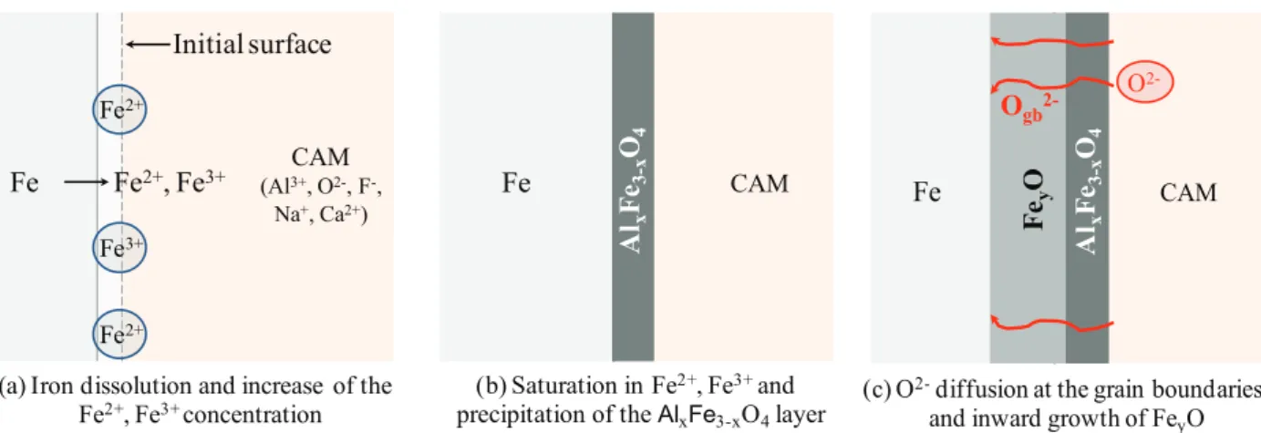 Fig. 11. Summary of oxide layer formation mechanism on iron at low potentials: metal dissolution (a), ferrite precipitation (b), wüstite growth (c).