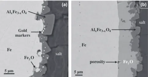Fig. 5. SEM–BSE micrographs of an iron electrode (cross section) after polarization at 1.2 V/(AlF 3 /Al) for (a) 100 s (3 C) and (b) 350 s (20 C) in the CAM (CR = 2.2; 5 wt.% CaF 2 ; 9 wt.% Al 2 O 3 ; T = 960 ° C).