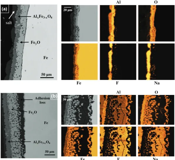 Fig. 6. SEM–BSE micrographs and elemental mapping of an iron electrode (cross section) after polarization at 1.4 V/(AlF 3 /Al) for (a) 450 s (20 C) and (b) 1000 s (40 C) in the CAM (CR = 2.2; 5 wt.% CaF 2 ; 9 wt.% Al 2 O 3 ; T = 960 ° C)