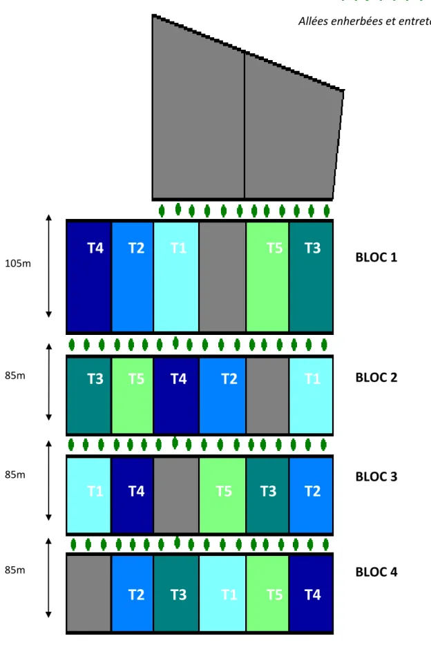 Figure 2: Schéma du dispositif expérimental