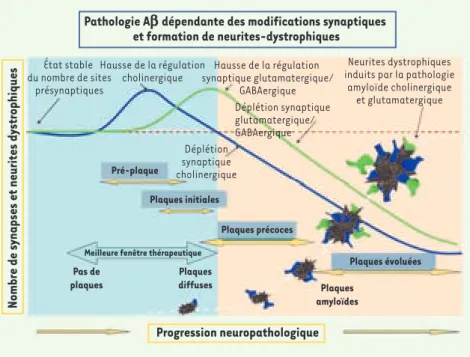 Figure 2. Description de la densité de synaptique et de l’incidence des neurites dystrophiques dans  le cortex cérébral au cours de la progression de la pathologie amyloïde ressemblant à la maladie  d’Alzheimer dans des modèles animaux transgéniques