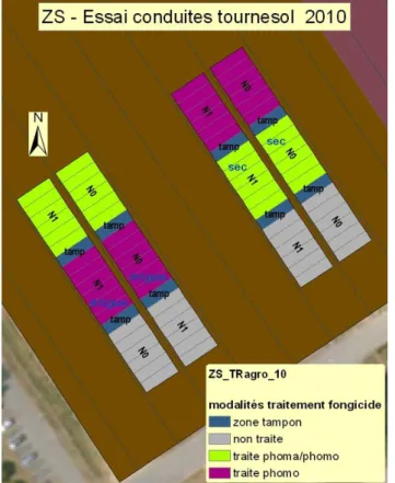 Figure 11 : plan de l’essai conduites tournesol 2010  Pour 2011, il est prévu deux essais conduites agronomiques sur tournesol : 