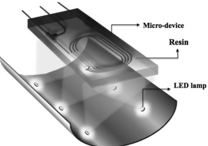 Figure 4. LEDs disposed on a concave surface.