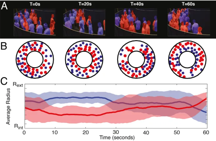 Figure 1. Illustration of the unstable dynamics observed under experimental conditions for one replication with N = 60 pedestrians.