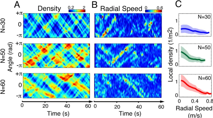 Figure 6. Characterization of the walking behaviour during the control test. (A) The average walking speed of all participants as they were walking alone in the experimental corridor