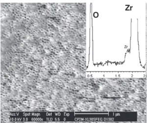 Fig. 1. SEM observation and EDS analysis of as-formed ZrO 2 nt.
