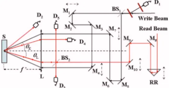 Fig. 1. (Color online) Experimental setup. Detector D 1