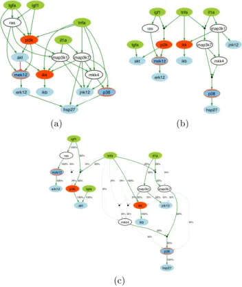 Fig. 2. Input and outputs of a middle-scale optimization problem. (a) A literature-derived Prior Knowledge Network (PKN) of growth and inflammatory signaling