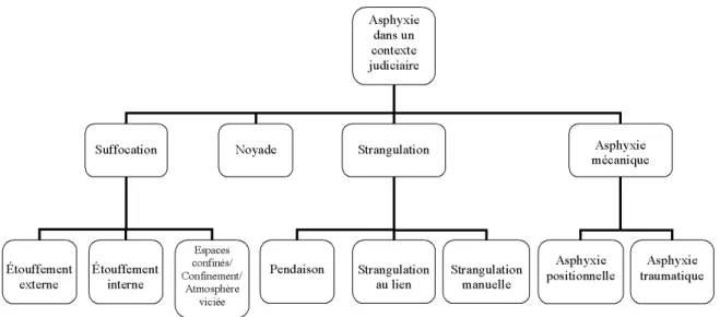 Figure  1.  La  classification  proposée  unifiée  des  asphyxies  en  contexte  médico-légal  de  Sauvageau et Boghossian (2010) 