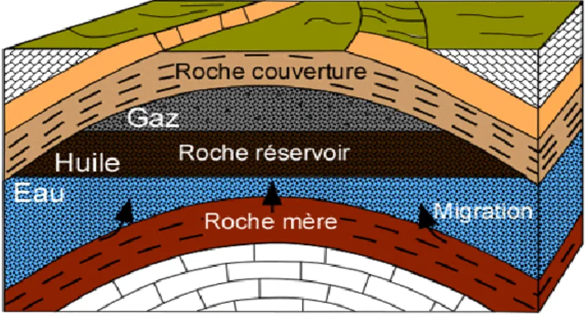 Figure I. 1: Coupe schématique d’un gisement d’huile et de gaz associe 