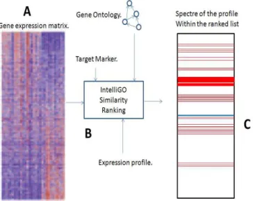 Fig. 3. A Functional Spectral Representation (FSR) overview illustrating the method.