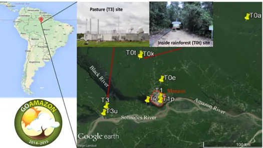 Figure 1. The location on the map and photos of the inside rainforest (T0t) and open pasture (T3) sampling sites in Amazonas are shown here.