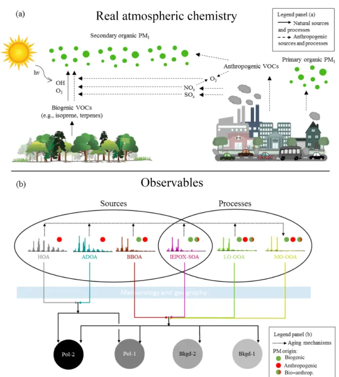 Figure 9. Schematic representation of (a) atmospheric processes, illustrated in a simplified manner, associated with the production of organic PM 1 and (b) observables of these processes as captured by the datasets and analytical approach employed in this 