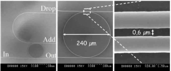 Figure 2: SEM image of polymer microring polymer ring and the gap, 