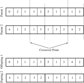 Figure 2. Single-point crossover on two chromatids.