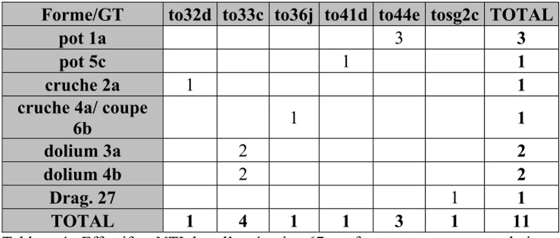 Tableau 4 : Effectif en NTI dans l’agrégation 67 par forme et par groupe technique. 