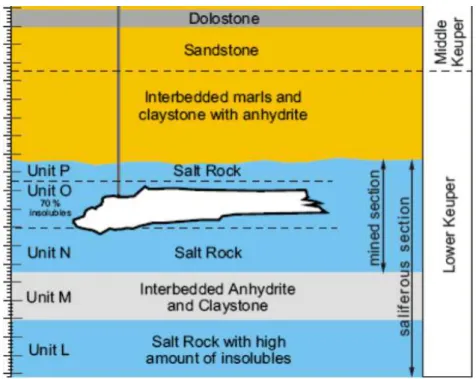 Figure 1 Nancy Basin lithostratigraphic section. 