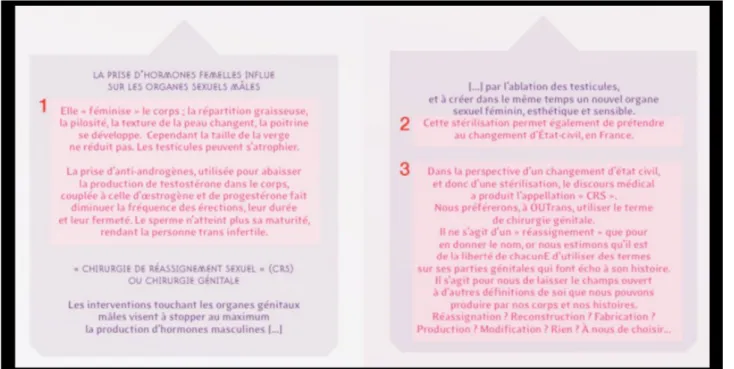 Fig. 18: The point 1 is  a technical description of the effects of antiandrogens (medical discourse)