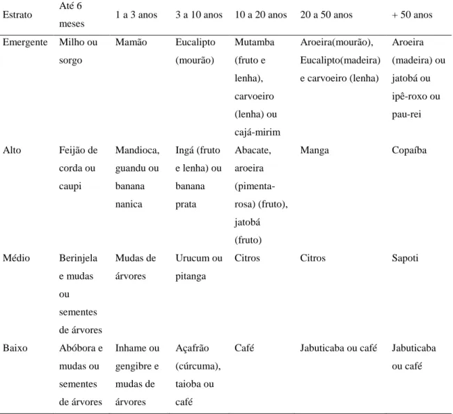 Tabela  4.  Exemplo  de  planejamento  de  arranjo  de  agrofloresta  sucessional,  incluindo  espécies  para  fins  comerciais  e  com  funções  ecológicas,  com  base  nas  abordagensdasucessãoe  da  estratificação  desenvolvidas por Ernst Götsch 