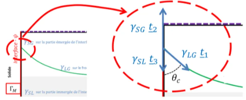 Fig. 2. Équilibre des forces au point triple où θ c représente l’angle de contact.