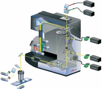 Figure 2.2. The principles of confocal microscopy. The excitation laser is focused into  the confocal volume via a microscope objective