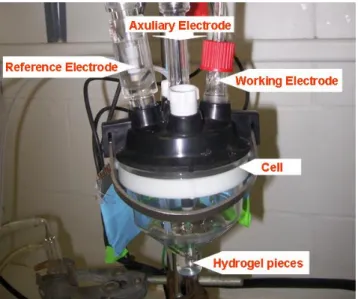 Figure 2.12. Photo of the electrochemical cell for microelectrode voltammetry 