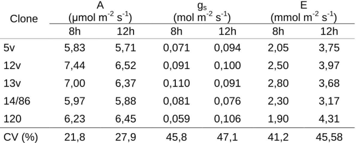 Tabela  6.  Taxa  de  fotossíntese  (A),  condutância  estomática  (g s )  e  taxa  de  transpiração (E) em mudas de cinco clones de Coffea canephora 