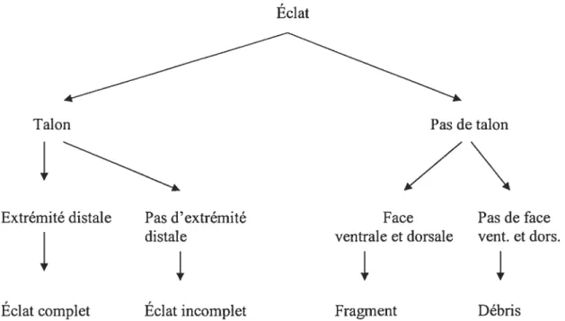 Figure 7 : Classification selon l’intégrité des éclats. Diagramme adapté de Chalifoux (1994) et inspiré de Sullivan et Rozen (1985).