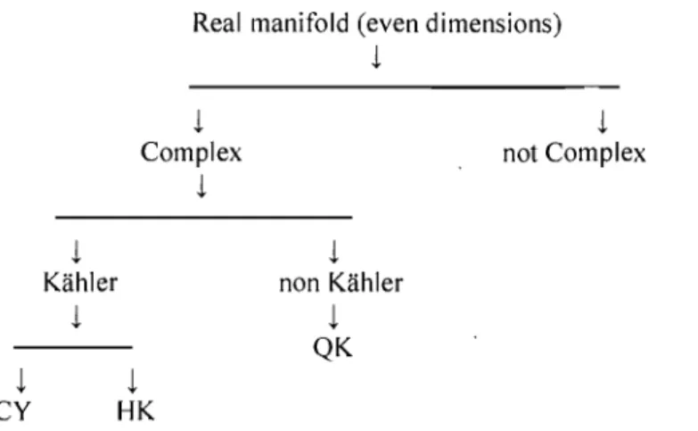 FIG.  1.1.  Links  between  manifolds.  Notation:  Quaternionic  Kiih- Kiih-1er  (QK),  HyperKiihler  (HK),  Calabi-Yau  (CY)
