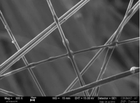 Figure 1: Scanning electron microscopy of the entangled cross-linked fibers after polymerization.