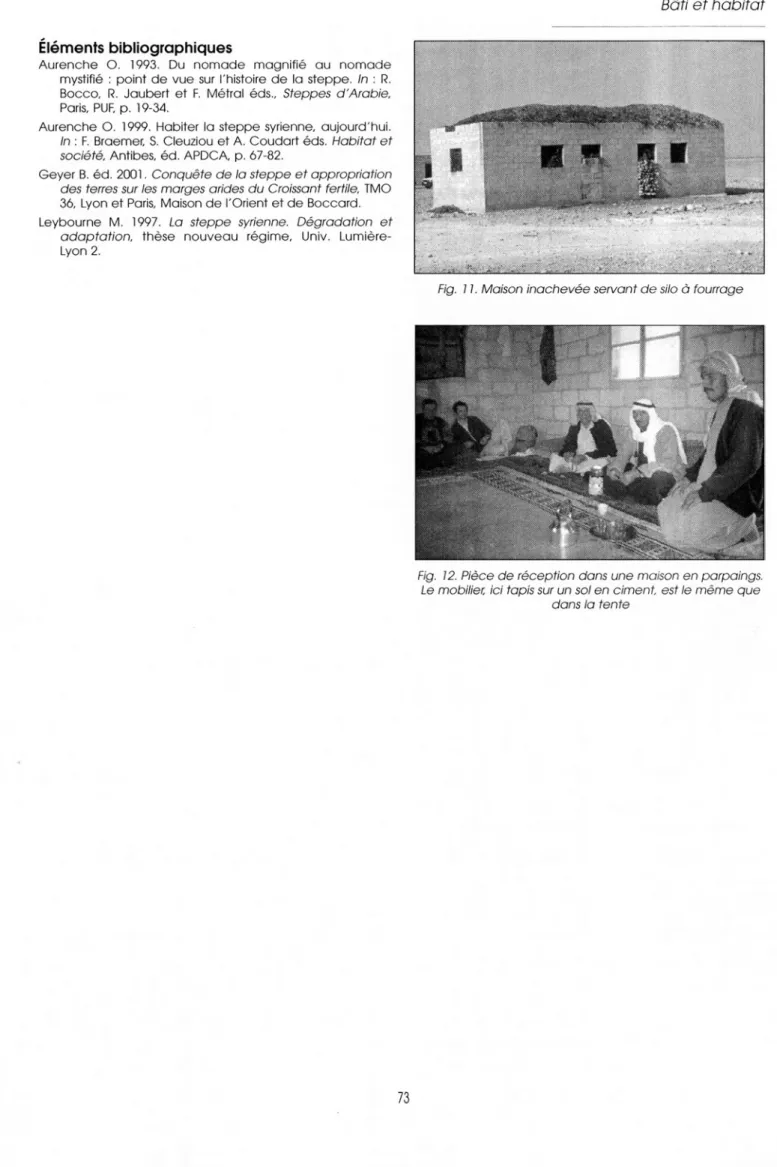 Fig.  i 1.  Maison inachevée servant d e  silo à  fourrage